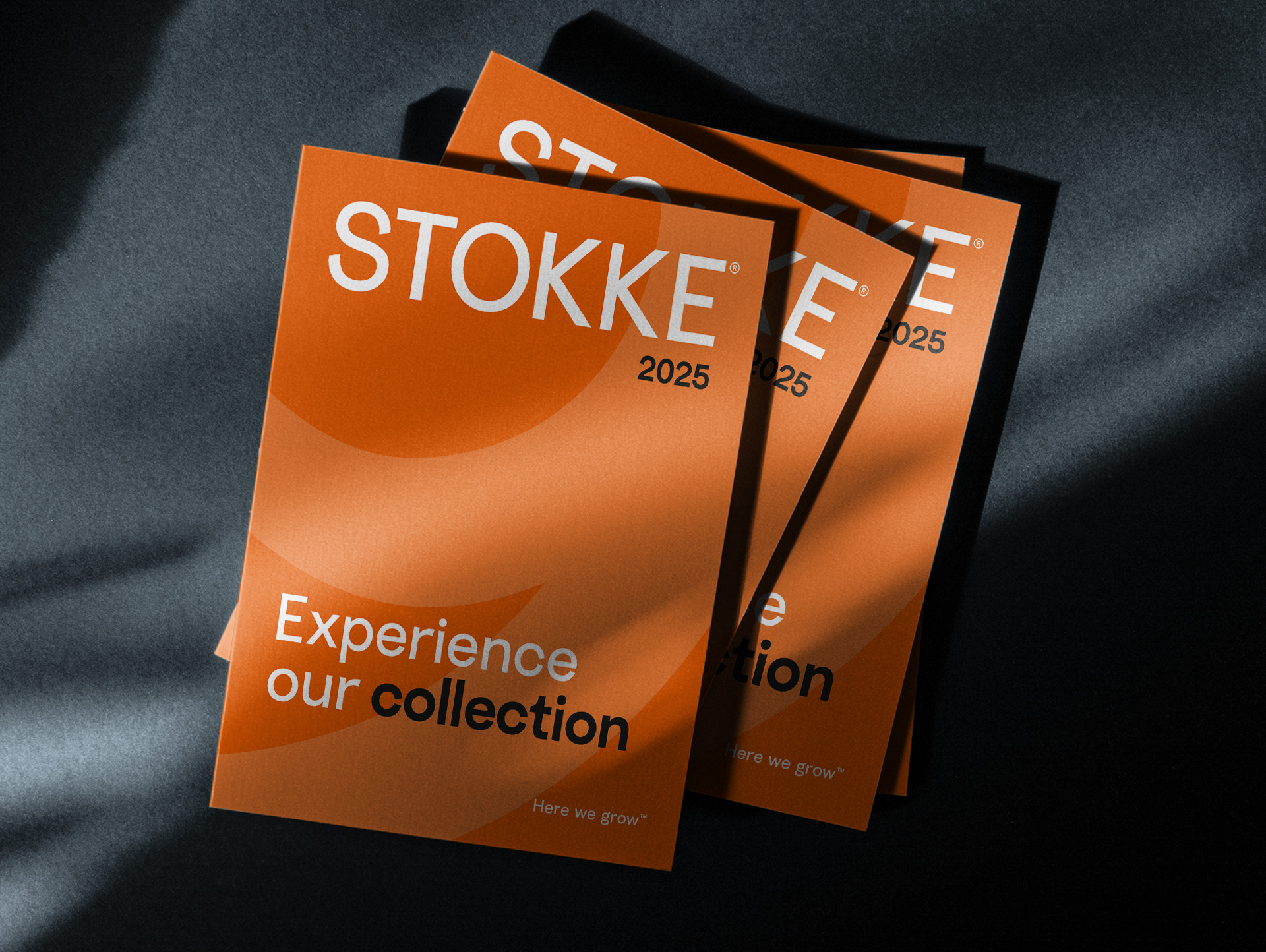 Stokke campaign landscape